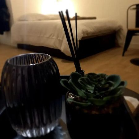Le 29 Cuty, Wifi, A 3Min De La Gare Sncf Appartement Agen Buitenkant foto