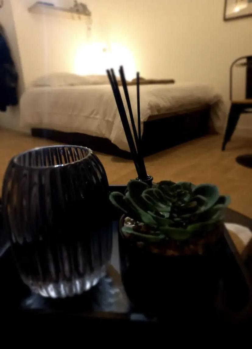 Le 29 Cuty, Wifi, A 3Min De La Gare Sncf Appartement Agen Buitenkant foto